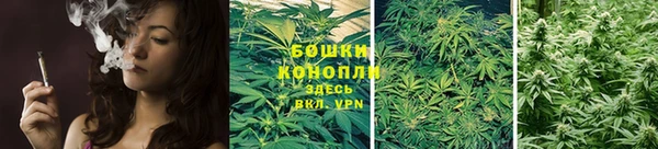 ECSTASY Тында